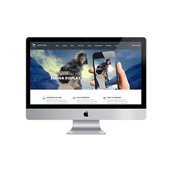 Responsive & Mobile
